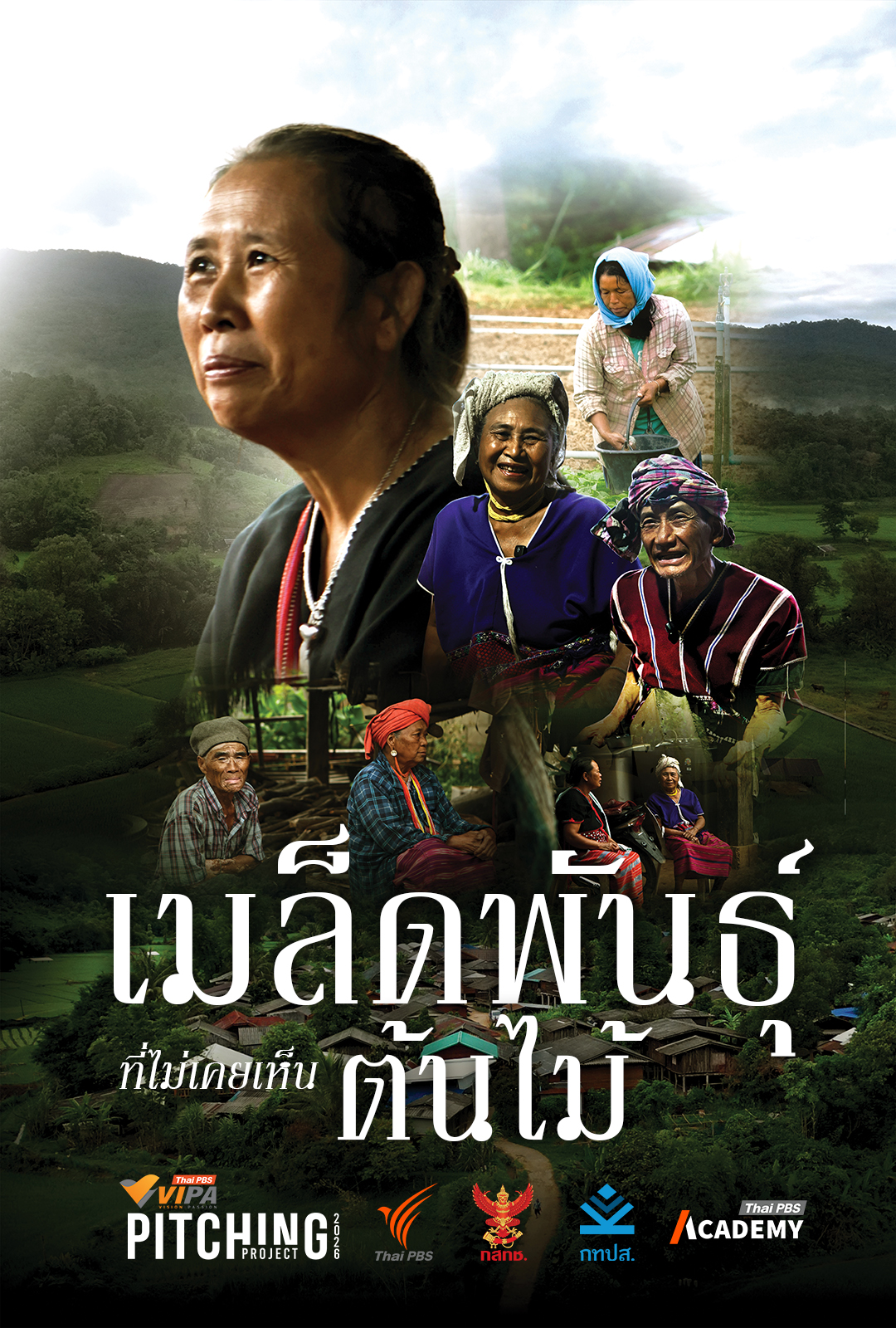 เมล็ดพันธุ์ที่ไม่เคยเห็นต้นไม้