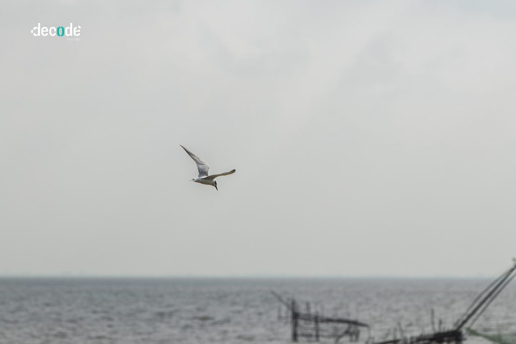 ความสมบูรณ์ทะเลสาปสงขลา