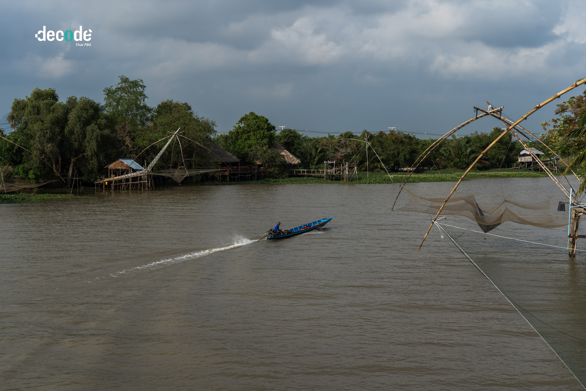 ปลาหมอคางดำทะเลสาปสงขลา