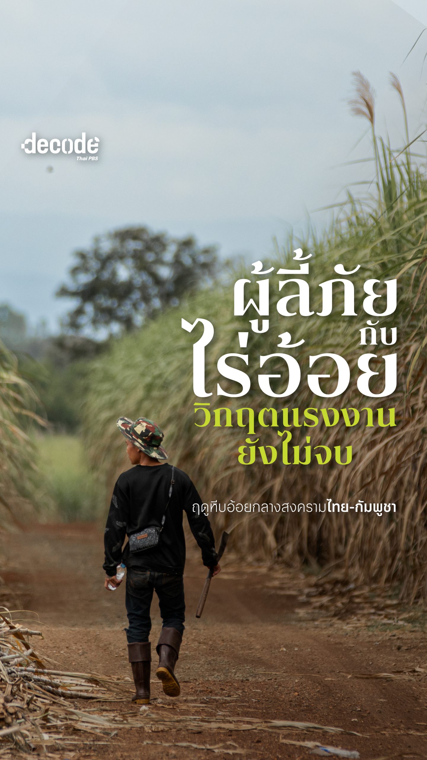 อ้อยรสขม