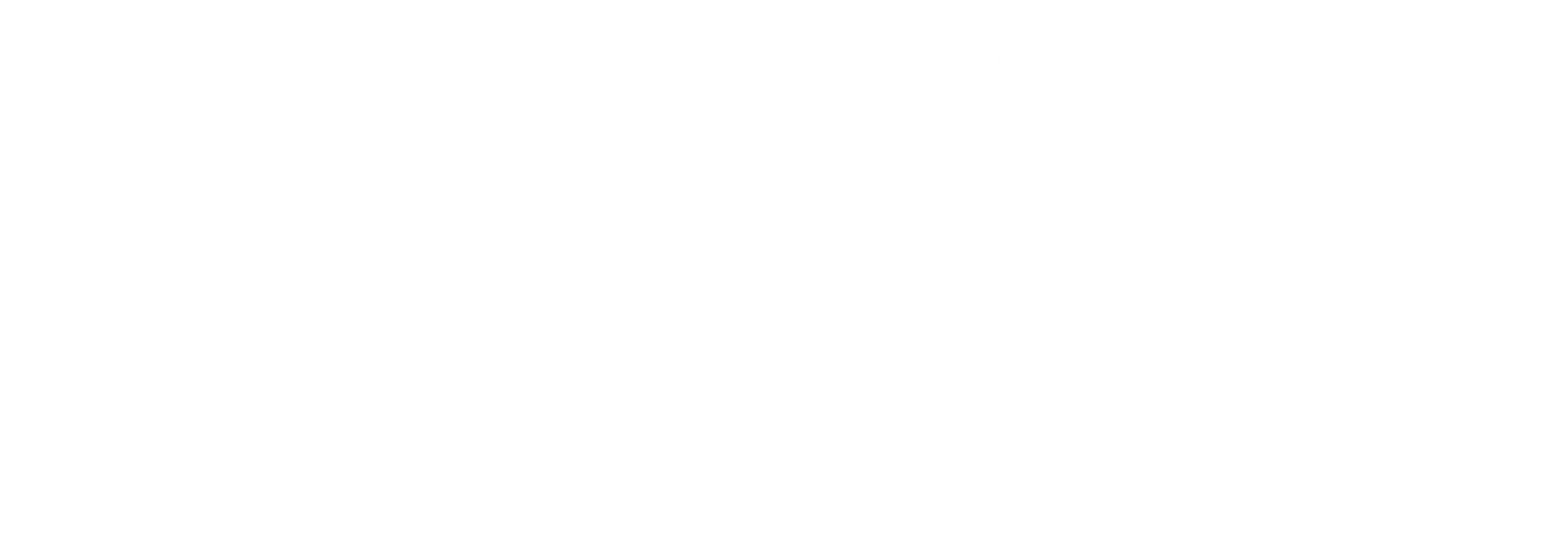 VIPA ThaiPBS Logo