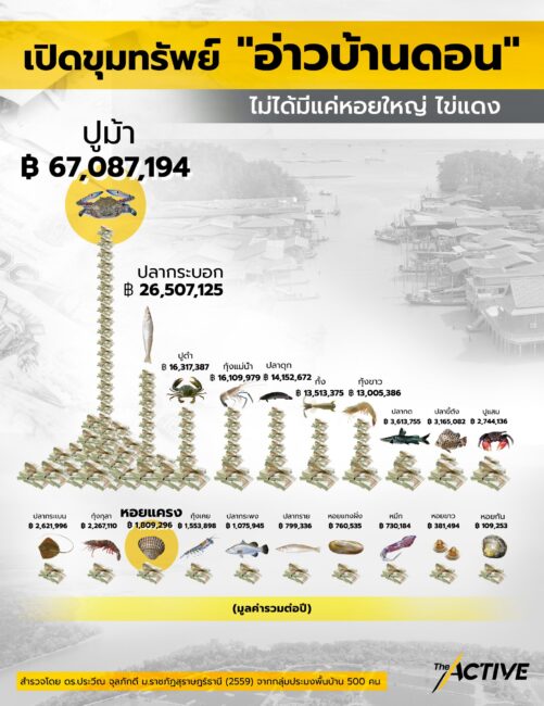 เปิดขุมทรัพย์ “อ่าวบ้านดอน” จ.สุราษฎร์ธานี ไม่ได้มีแค่ “หอยใหญ่ ไข่แดง”