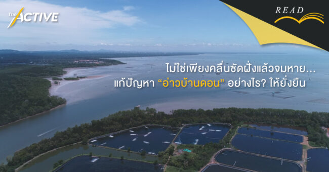 จับตาแก้ปัญหาอ่าวบ้านดอน แก้อย่างไรให้ยั่งยืน