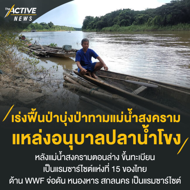 เร่งฟื้นป่าบุ่งป่าทามแม่น้ำสงคราม​ แหล่งอนุบาลปลาน้ำโขง