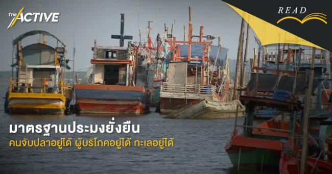 มาตรฐานประมงยั่งยืน : คนจับปลาอยู่ได้ ผู้บริโภคอยู่ได้ ทะเลอยู่ได้