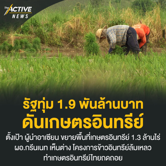 รัฐทุ่ม 1.9 พันล้านบาท ดันเกษตรอินทรีย์