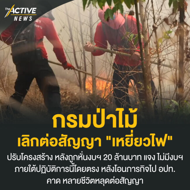 กรมป่าไม้ เลิกต่อสัญญา 