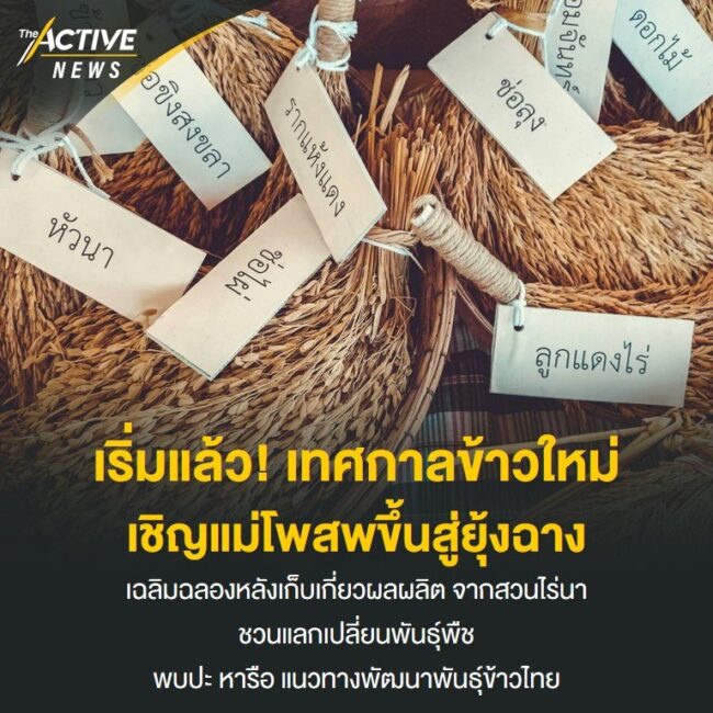 เริ่มแล้ว! เทศกาลข้าวใหม่ เชิญแม่โพสพขึ้นสู่ยุ้งฉาง