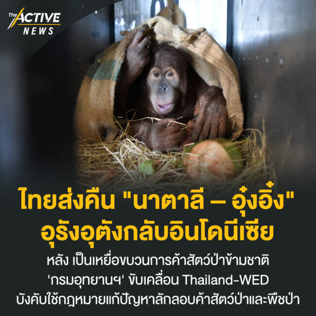 ไทยส่งคืน 