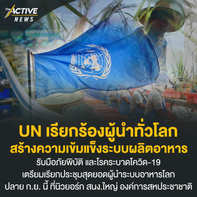 UN เรียกร้องผู้นำทั่วโลก สร้างความเข้มแข็งระบบผลิตอาหาร