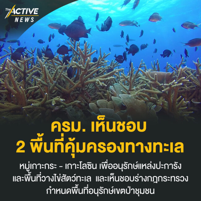 ครม. เห็นชอบ 2 พื้นที่คุ้มครองทางทะเล