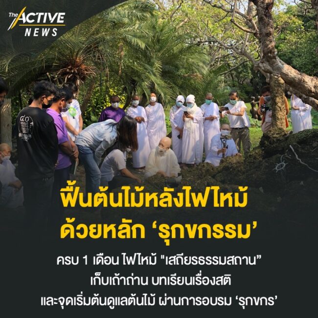 'เสถียรธรรมสถาน' อบรมรุกขกร ฟื้นฟูต้นไม้หลังไฟไหม้