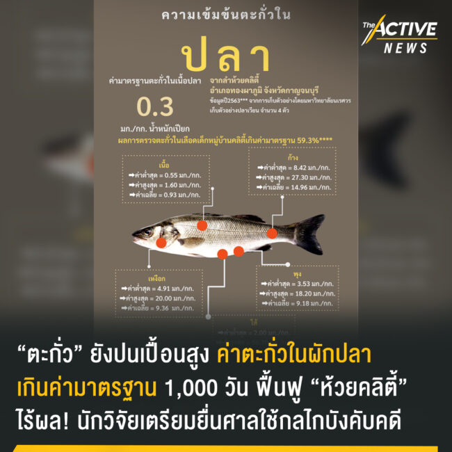 “ตะกั่ว” ยังปนเปื้อนสูง ฟื้นฟู “ห้วยคลิตี้” ไร้ผล