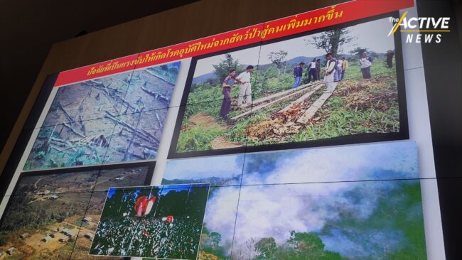 กรมอุทยานฯ วอน ไม่รุกป่า-ล่าสัตว์ เพิ่มปัจจัยเสี่ยงเกิดโรคอุบัติใหม่