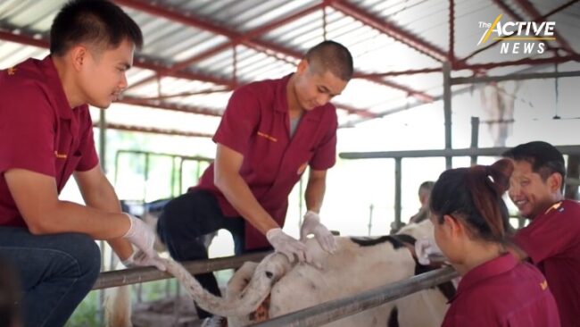 หวั่นโควิด-19 ผลักเด็กออกกลางคัน กสศ. หนุนทุนให้เปล่า ช่วย 