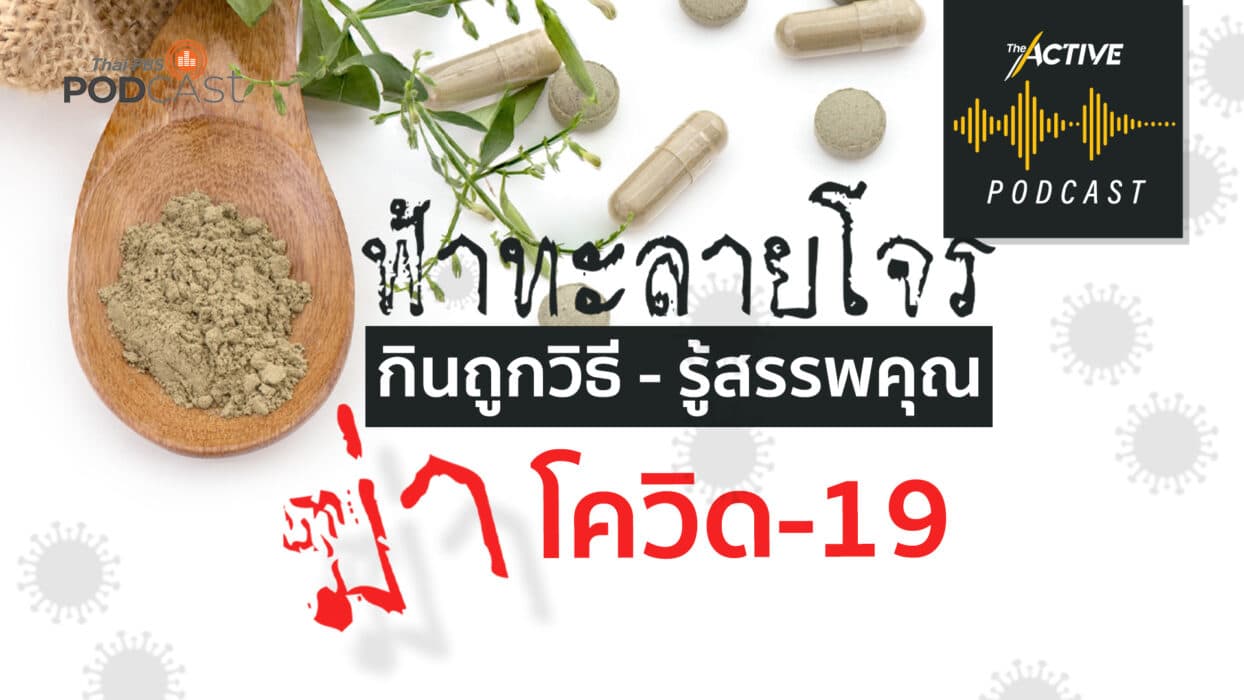 The Active Podcast EP.42 | ฟ้าทะลายโจร กินถูกวิธี รู้สรรพคุณ ฆ่าโควิด-19
