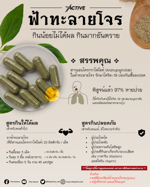 ฟ้าทะลายโจร: กินน้อยไม่ได้ผล กินมากอันตราย