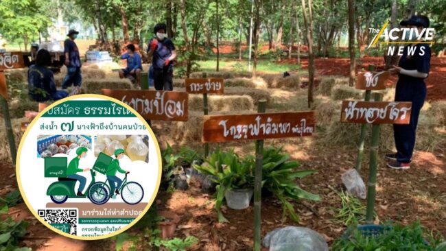 หลายจังหวัด ตั้ง “ศูนย์ร่วมต้านโควิด-19 ด้วยสมุนไพรไทย” หวังแบ่งเบาภาระระบบสาธารณสุข