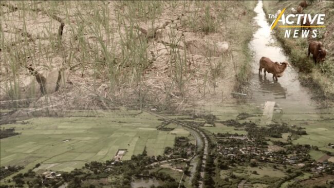 วิจัย ชี้เกษตรกรไทย เมินปรับตัวสู้ 