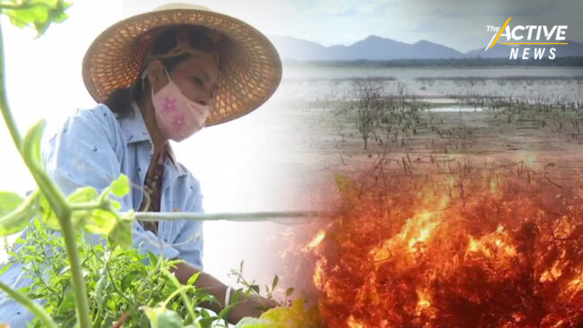 โลกร้อน ซ้ำเติมโควิด-19 ภาคเกษตรอ่วม เร่งปรับตัว ลดความเสียหาย