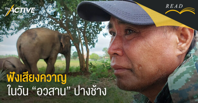 ฟังเสียง “ควาญ” ในวันอวสาน “ปางช้าง”