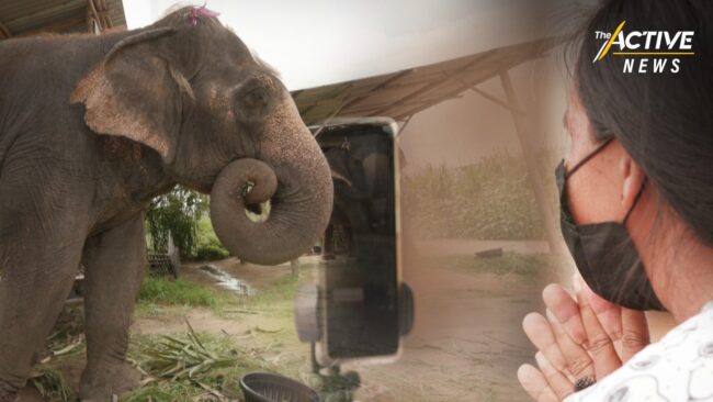 เสียงครวญ จาก 