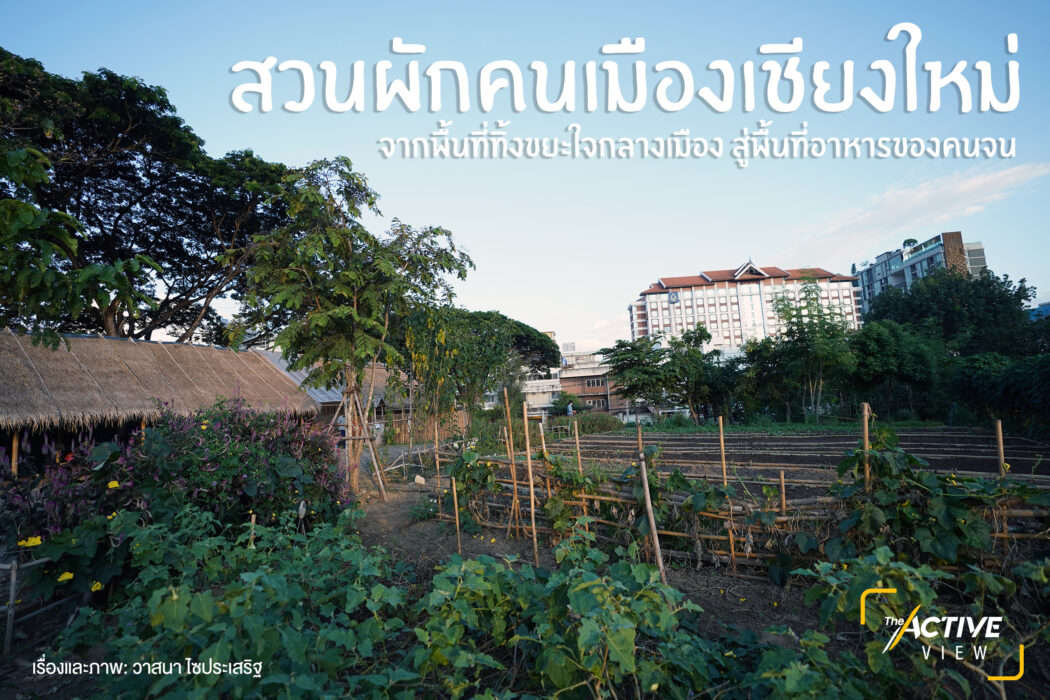 จากพื้นที่ทิ้งขยะใจกลางเมือง สู่พื้นที่อาหารของคนจน