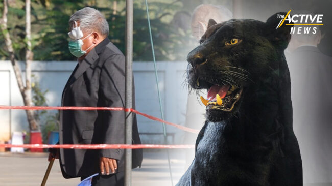 กลุ่ม 'ทีชาลา' คดีเสือดำ พอใจคำตัดสินศาลฎีกา เชื่อสังคมต้องการคำขอโทษ มากกว่ากฎหมาย