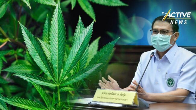 ร่าง พ.ร.บ.กัญชาฯ จดแจ้งปลูกที่บ้านเพื่อรักษา เปิดแซนด์บ็อกซ์นันทนาการเสรี