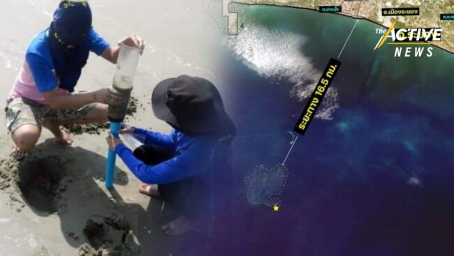 ม.เกษตรฯ ส่งทีมวิจัยเก็บข้อมูล ก่อนและหลัง น้ำมันดิบรั่วถึงหาดแม่รำพึง