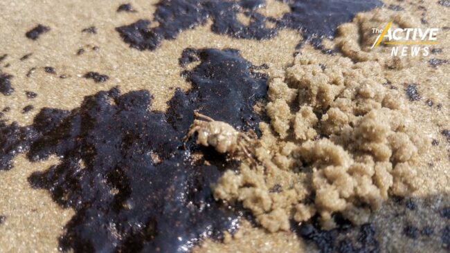 นักสิ่งแวดล้อม ห่วงสารสลายคราบน้ำมัน Dispersant กระทบทะเล ระยะยาว