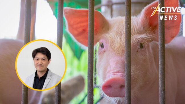 'หมูแพง'นักวิชาการแนะงดส่งออก-ตั้งจุดขายเนื้อหมูราคาถูก พร้อมจี้ ‘กรมปศุสัตว์’ รับผิดชอบ