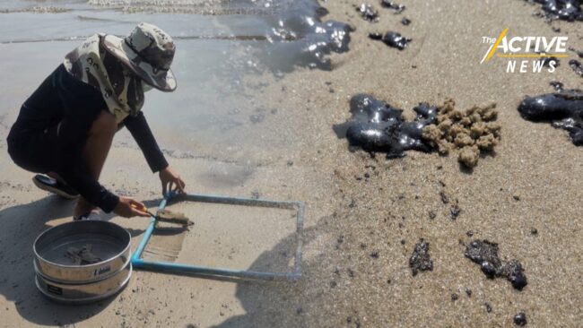 ตรวจสอบขั้นตอนพิสูจน์ผลกระทบ เหตุน้ำมันรั่วระยอง ปี 65