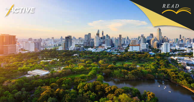 ส่องงบฯ ปลูกต้นไม้ กทม.  'มหานครสีเขียว' แห่งชาฮกเกี้ยน