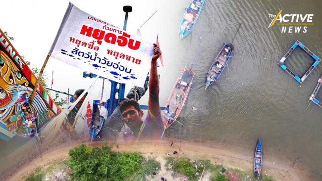 เดินหน้ากิจกรรม “ทวงคืนน้ำพริกปลาทู“ รณรงค์หยุดจับสัตว์น้ำวัยอ่อน