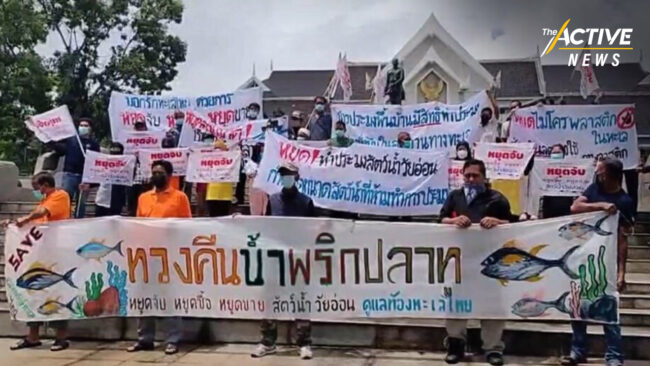 ชมรมชาวประมงพื้นบ้านจ.ตรัง ร่วมรณรงค์  ทวงคืนน้ำพริกปลาทู