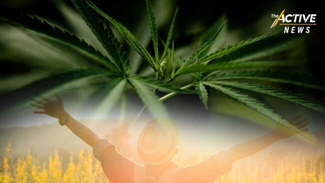 ได้หรือเสีย? ‘เสรีกัญชา’ อนาคตเยาวชน แลก เม็ดเงินเศรษฐกิจ