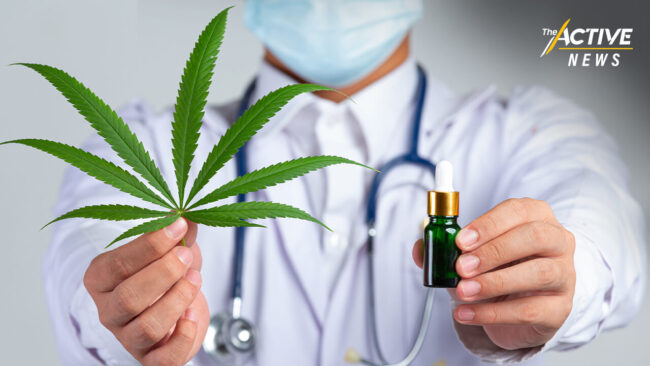 กรมการแพทย์แผนไทยฯ ยืนยัน “กัญชา”ทางการแพทย์ฯ ปลอดภัย