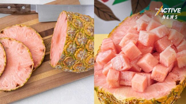 หวั่น สับปะรด GMO สีชมพู ลักลอบเข้าไทย ปนเปื้อนพืชพื้นถิ่น