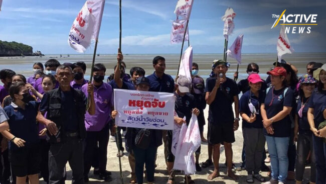 เครือข่ายประมงพื้นบ้าน จี้กำหนดขนาด สัตว์น้ำวัยอ่อนทันที