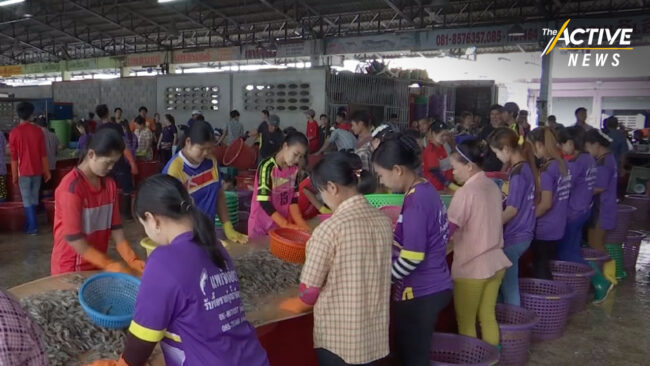 ห่วง 'เด็กข้ามชาติ' เข้าไม่ถึงสิทธิการศึกษา-สุขภาพ