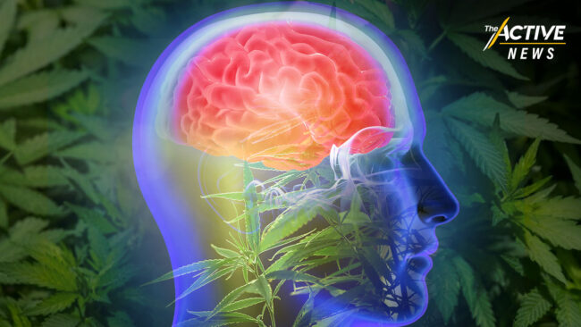 เฝ้าระวัง เด็กเสพกัญชาเสี่ยงกล้ามเนื้ออ่อนแรง ความจำบกพร่อง