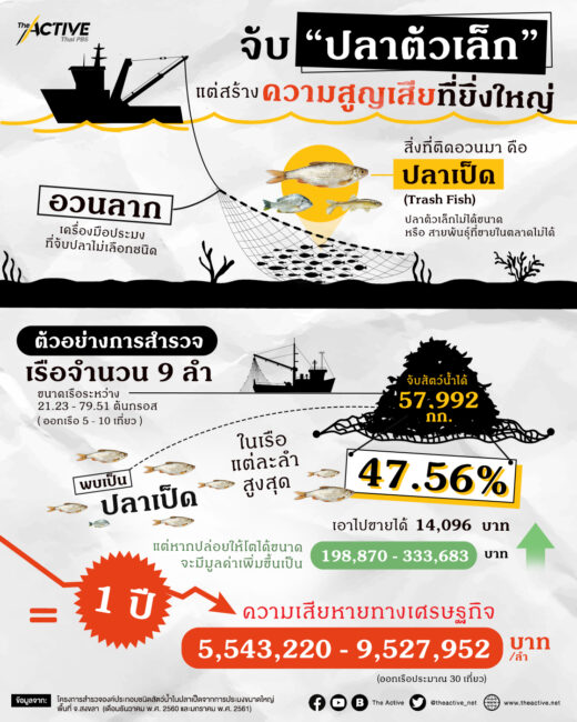 จับ 'ปลาตัวเล็ก' แต่สร้างความเสียหายที่ยิ่งใหญ่