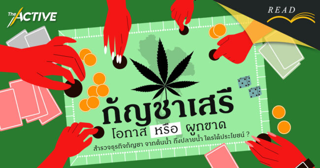 กัญชาเสรี: โอกาสหรือผูกขาด