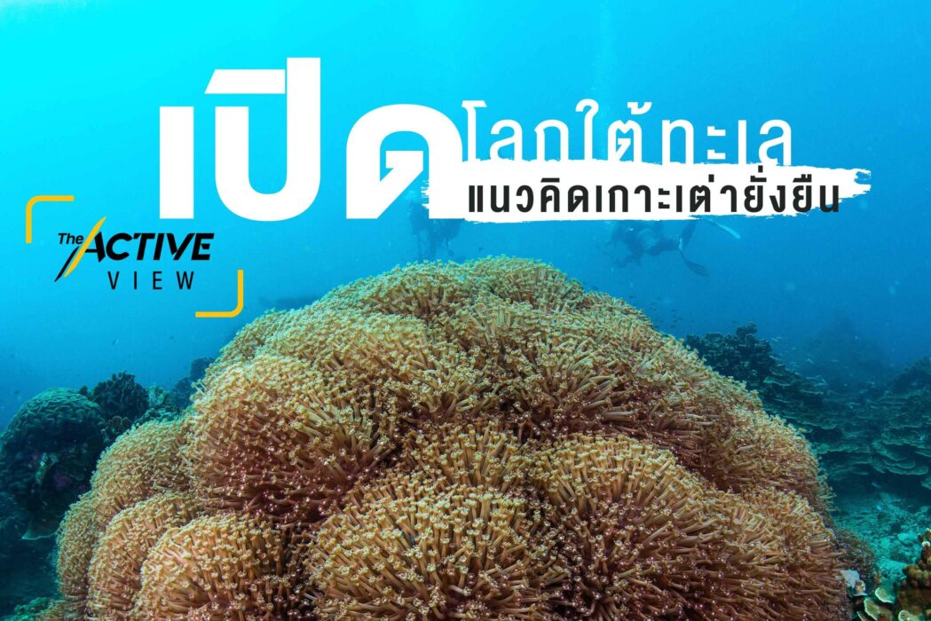 เปิด โลกใต้ทะเล : เปิด แนวคิดเกาะเต่ายั่งยืน