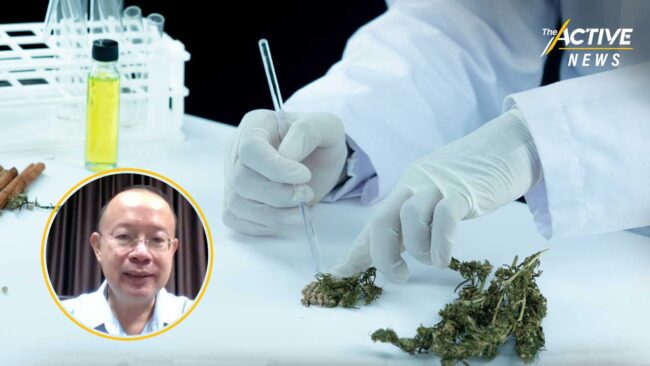 ศึกซักฟอกเดือด ! กัญชาเสรีกระทบเด็ก เยาวชน