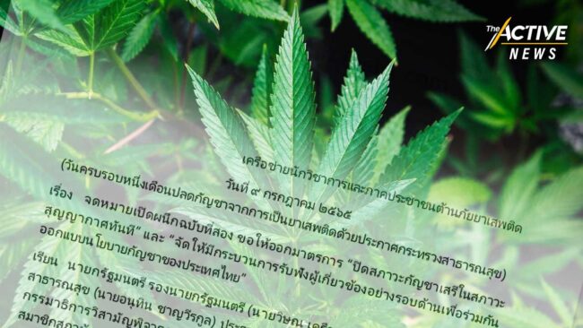 จี้ นายกฯ ฟังเสียงทุกฝ่าย ออก ก.ม.ปิดช่อง 'เสรีกัญชา'