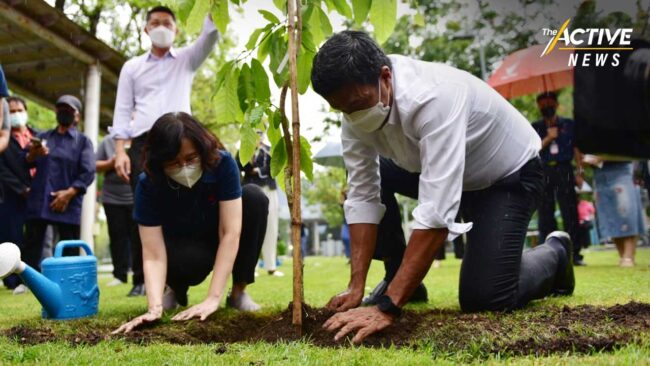 นับ 1 ถึง 1,000 ‘ชัชชาติ’ ปลูกต้นไม้ที่ไทยพีบีเอส