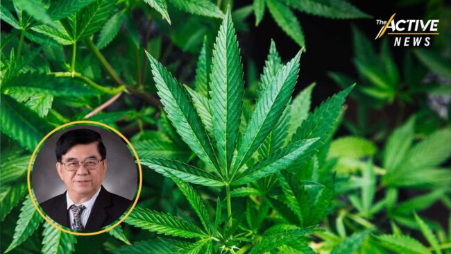 20 วัน พบเด็กป่วยแล้ว 14 ราย หลังปลดล็อกกัญชา