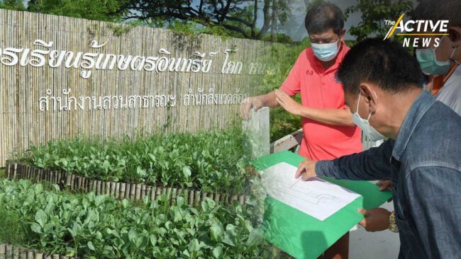 กทม.ผุดศูนย์เรียนรู้ 'โคก หนอง นา' - สวนสาธารณะแห่งใหม่ เขตทวีวัฒนา